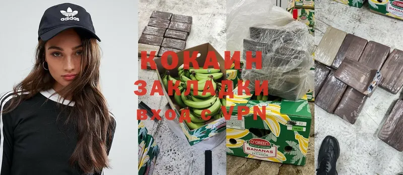 Cocaine FishScale  как найти наркотики  Карасук 